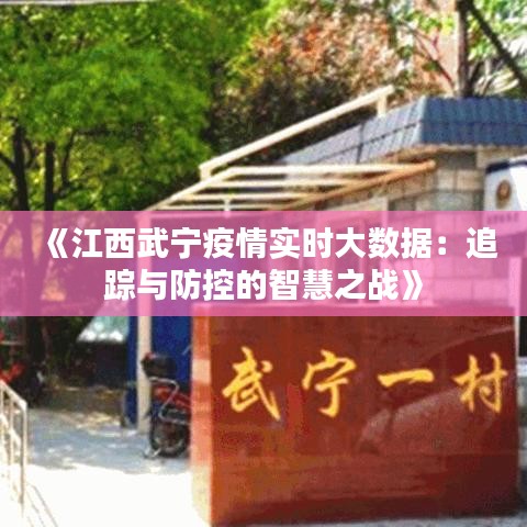 《江西武宁疫情实时大数据：追踪与防控的智慧之战》
