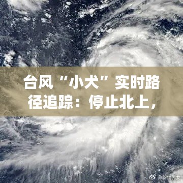 台风“小犬”实时路径追踪：停止北上，关注后续动态
