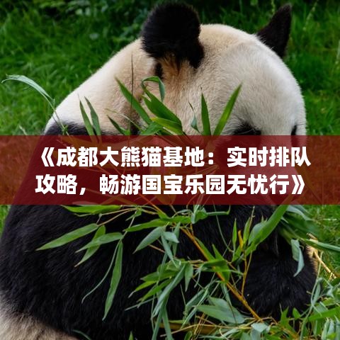 《成都大熊猫基地：实时排队攻略，畅游国宝乐园无忧行》