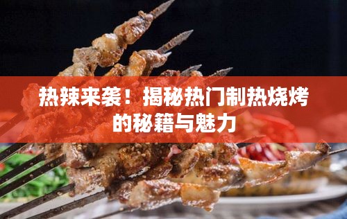 热辣来袭！揭秘热门制热烧烤的秘籍与魅力