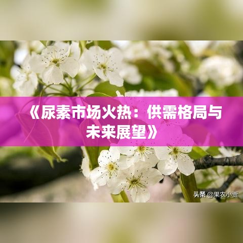 《尿素市场火热：供需格局与未来展望》