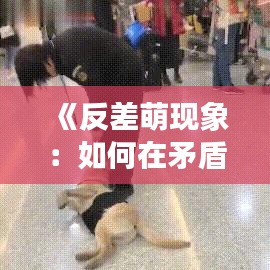 《反差萌现象：如何在矛盾中走红网络》