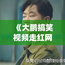 《大鹏搞笑视频走红网络，笑点连连引网友热议》