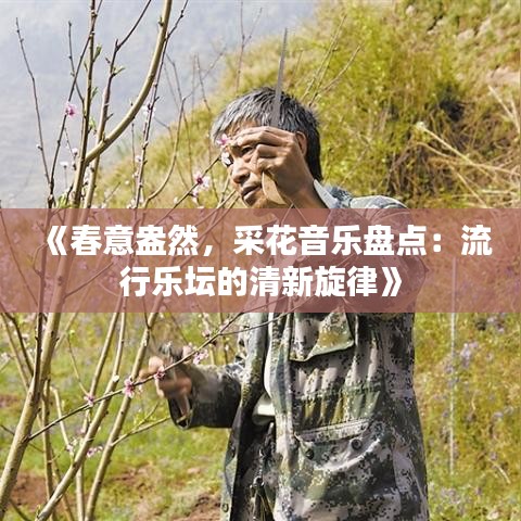 《春意盎然，采花音乐盘点：流行乐坛的清新旋律》