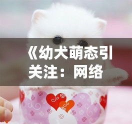 《幼犬萌态引关注：网络热潮下的宠物经济崛起》