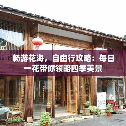 畅游花海，自由行攻略：每日一花带你领略四季美景