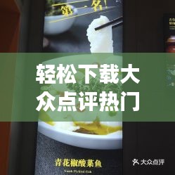 轻松下载大众点评热门菜视频，美食分享新体验
