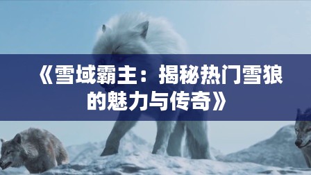 《雪域霸主：揭秘热门雪狼的魅力与传奇》