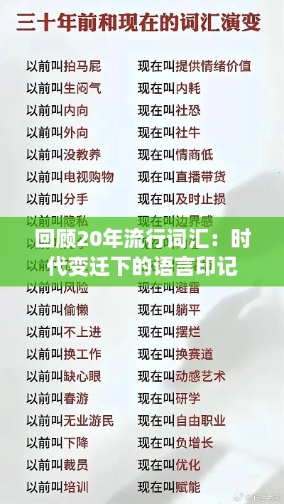 回顾20年流行词汇：时代变迁下的语言印记