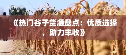 《热门谷子货源盘点：优质选择，助力丰收》