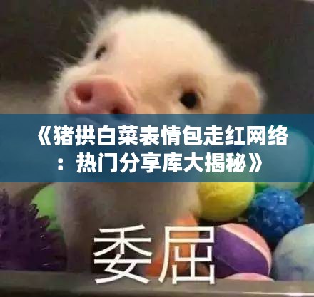 《猪拱白菜表情包走红网络：热门分享库大揭秘》
