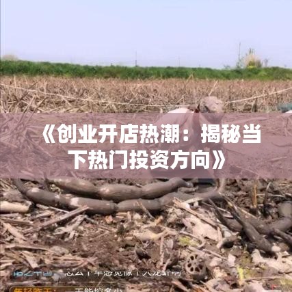 《创业开店热潮：揭秘当下热门投资方向》
