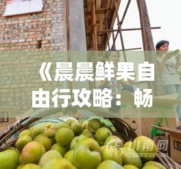 《晨晨鲜果自由行攻略：畅游水果乐园，尽享采摘乐趣》
