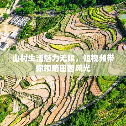 山村生活魅力无限，短视频带你领略田园风光
