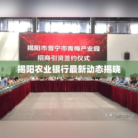 揭阳农业银行最新动态揭晓