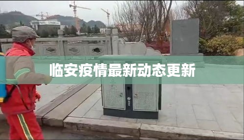 临安疫情最新动态更新