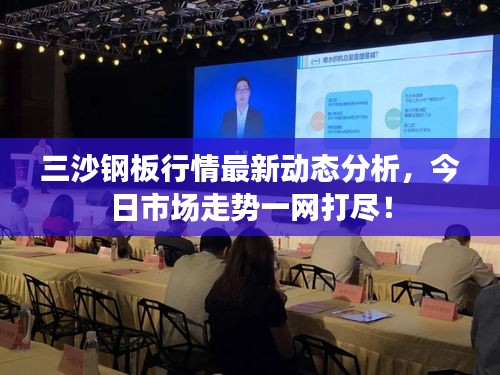 三沙钢板行情最新动态分析，今日市场走势一网打尽！
