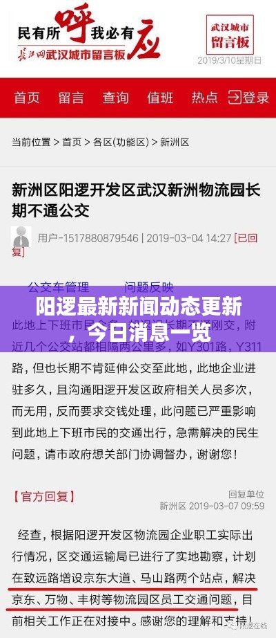 阳逻最新新闻动态更新，今日消息一览