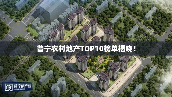 普宁农村地产TOP10榜单揭晓！