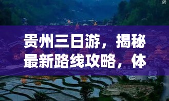 犯而不校 第2页