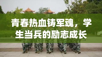 青春热血铸军魂，学生当兵的励志成长与担当