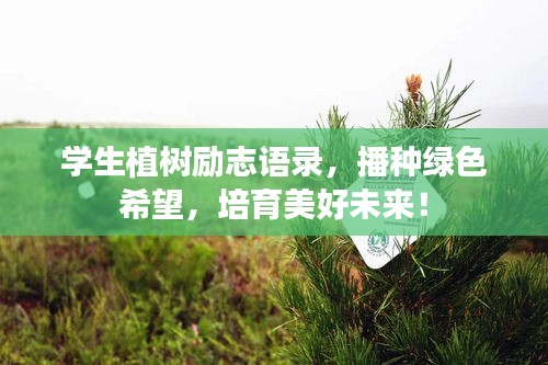手不释卷 第3页