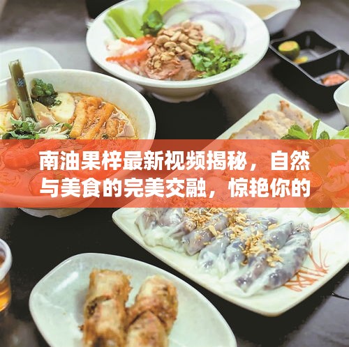 南油果梓最新视频揭秘，自然与美食的完美交融，惊艳你的味蕾！