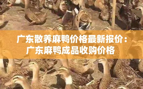 广东散养麻鸭价格最新报价：广东麻鸭成品收购价格 