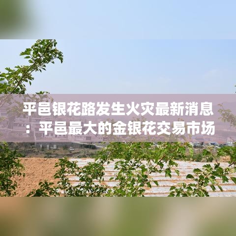 平邑银花路发生火灾最新消息：平邑最大的金银花交易市场在哪里 