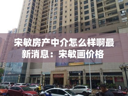 宋敏房产中介怎么样啊最新消息：宋敏画价格 