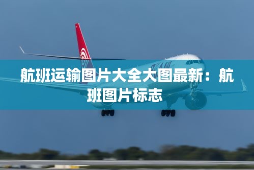 航班运输图片大全大图最新：航班图片标志 