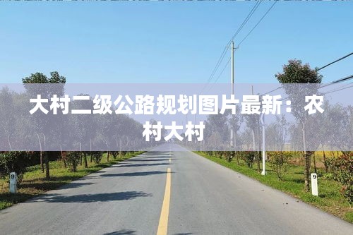 大村二级公路规划图片最新：农村大村 