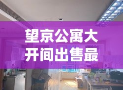 望京公寓大开间出售最新消息：北京望京公寓房出售价 