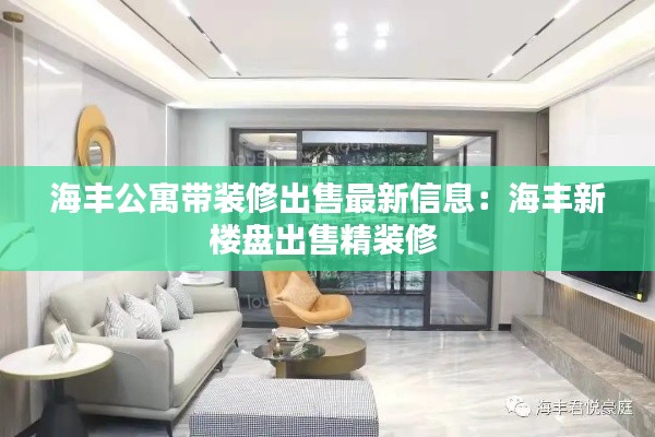 海丰公寓带装修出售最新信息：海丰新楼盘出售精装修 