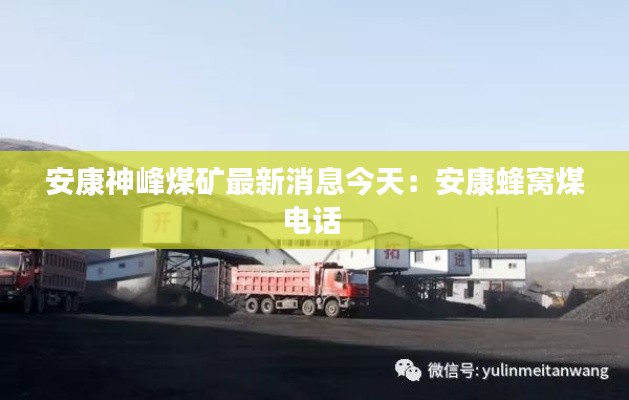 安康神峰煤矿最新消息今天：安康蜂窝煤电话 