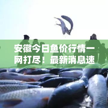 铺张浪费 第3页
