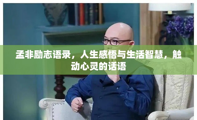 孟非励志语录，人生感悟与生活智慧，触动心灵的话语