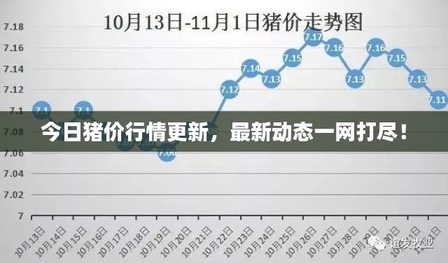 今日猪价行情更新，最新动态一网打尽！