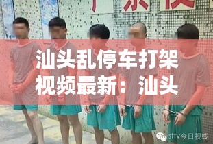 汕头乱停车打架视频最新：汕头殴打 