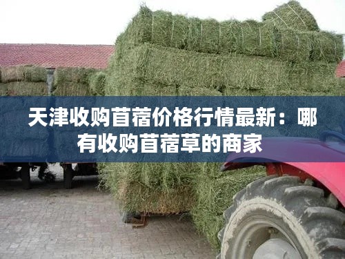 天津收购苜蓿价格行情最新：哪有收购苜蓿草的商家 