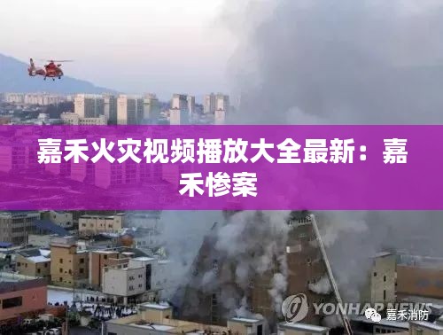 嘉禾火灾视频播放大全最新：嘉禾惨案 