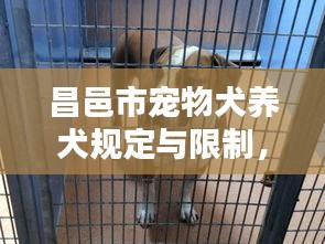昌邑市宠物犬养犬规定与限制，最新禁养犬名单查询指南