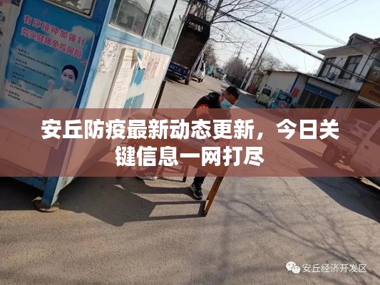 安丘防疫最新动态更新，今日关键信息一网打尽