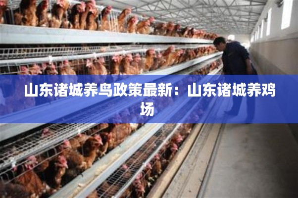 山东诸城养鸟政策最新：山东诸城养鸡场 