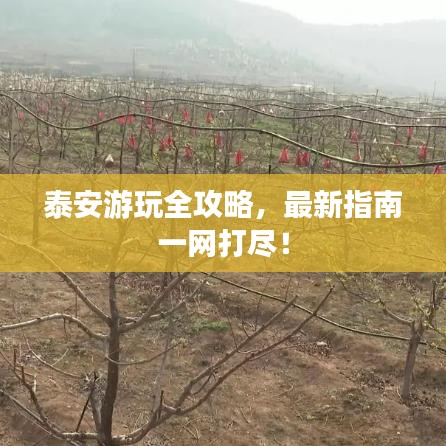 泰安游玩全攻略，最新指南一网打尽！