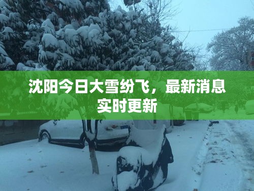 沈阳今日大雪纷飞，最新消息实时更新