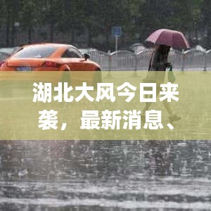 百鸟归巢 第2页