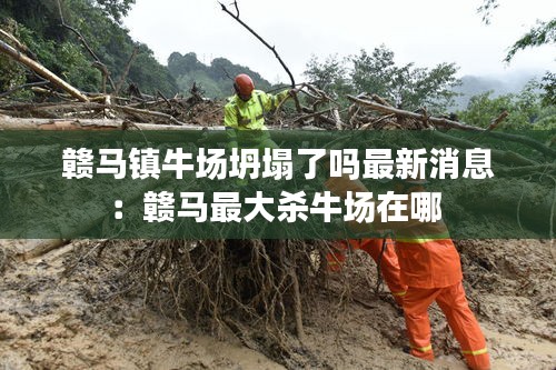 赣马镇牛场坍塌了吗最新消息：赣马最大杀牛场在哪 