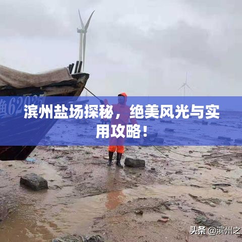 滨州盐场探秘，绝美风光与实用攻略！