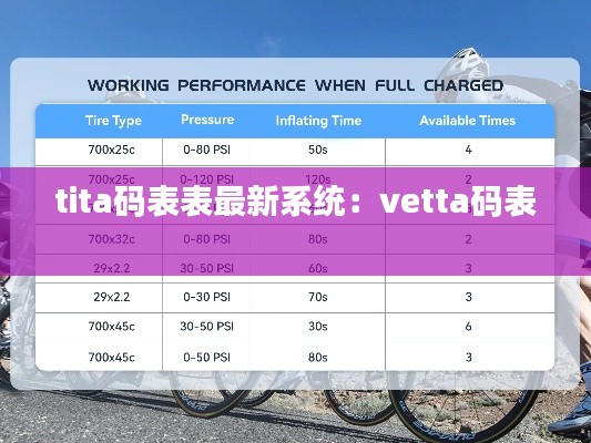 tita码表表最新系统：vetta码表 